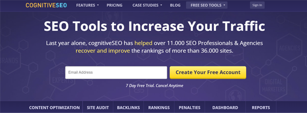 CognitiveSEO