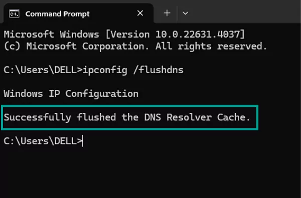 Successfully flushed the DNS Resolver Cache will display