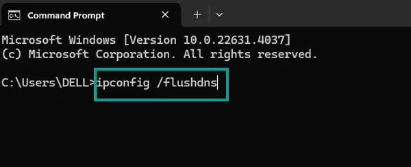 Type ipconfig flushdns then press Enter