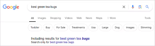 Google result suggestions for misspelled keywords